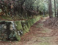 おつぼ山神籠石