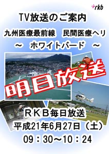 ホワイトバード