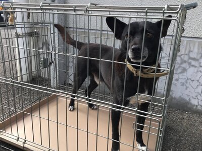 211220山内犬(1)_9910_marked.jpg