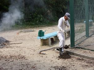 IMG_0091_R.JPG