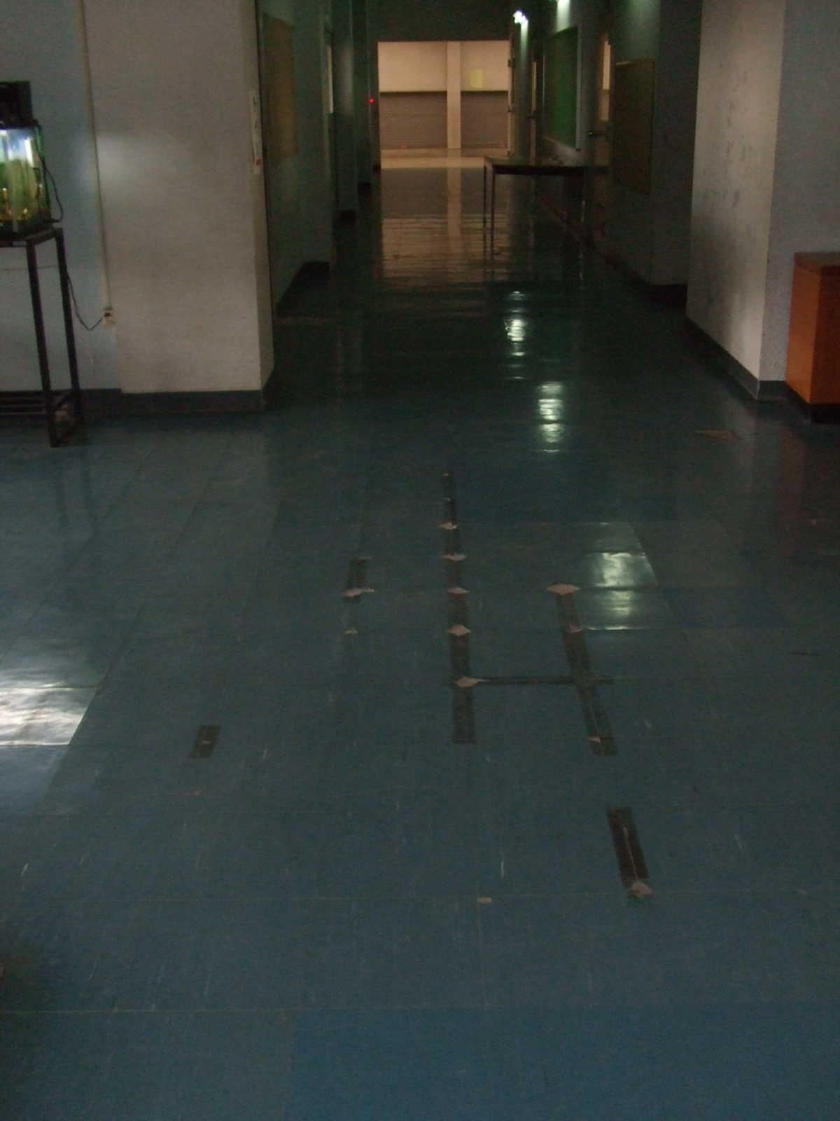 http://www.city.takeo.lg.jp/kyouiku-blog/images/87F56D5.jpg