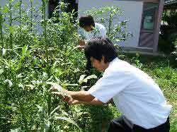 給食探検