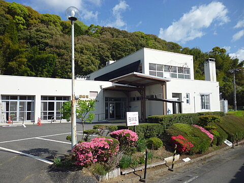 20260611nichirinsou.jpg