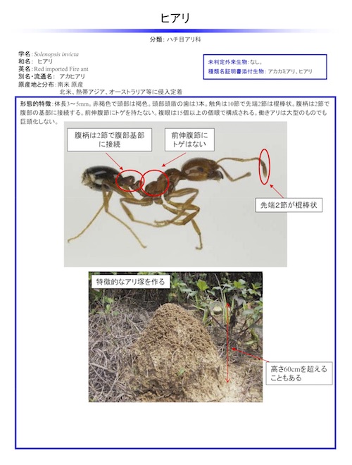 20170824hiari.jpg