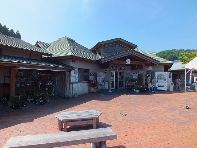 DSCF0133.jpg