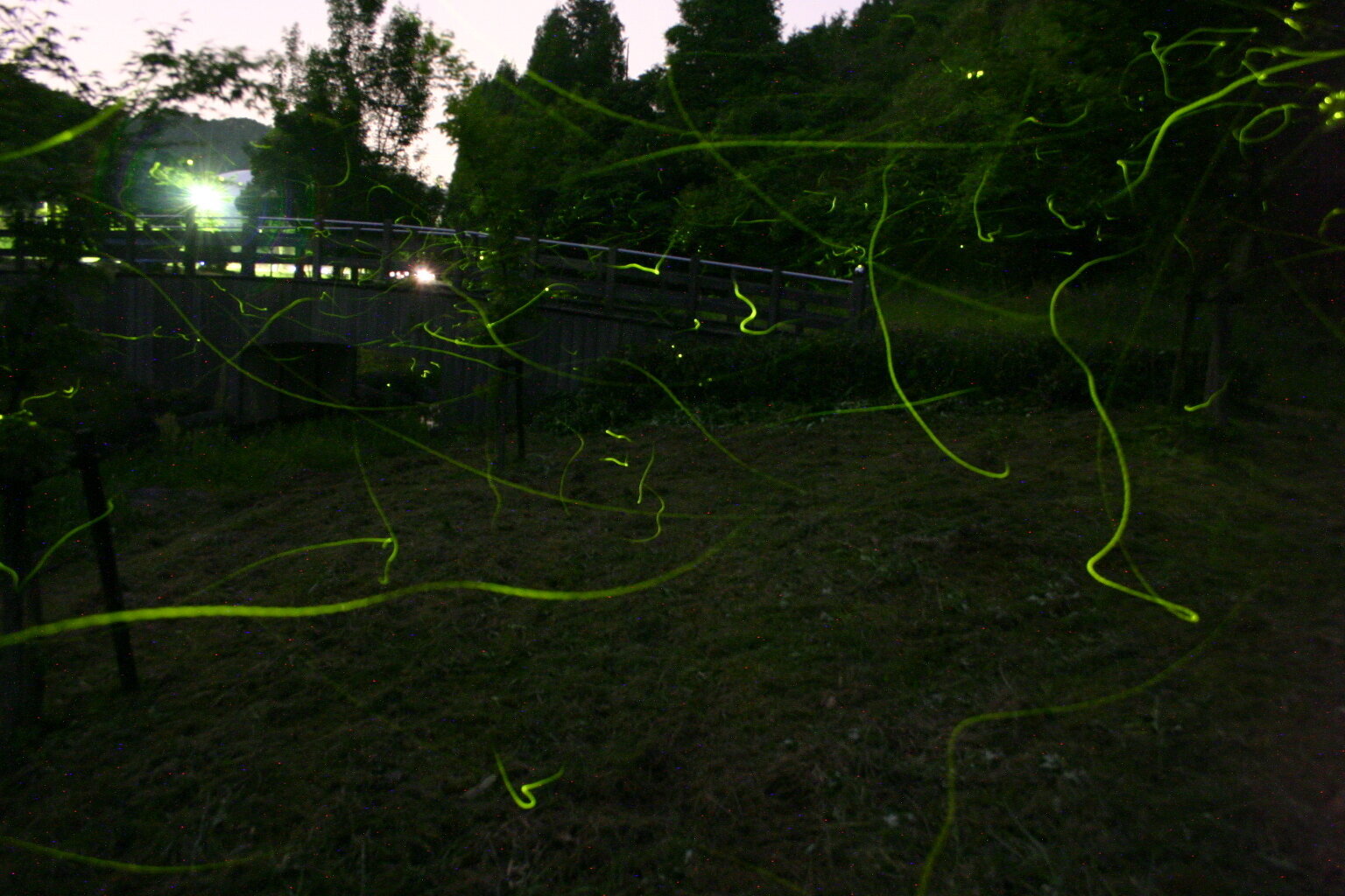 kankou20240423.jpg.jpg