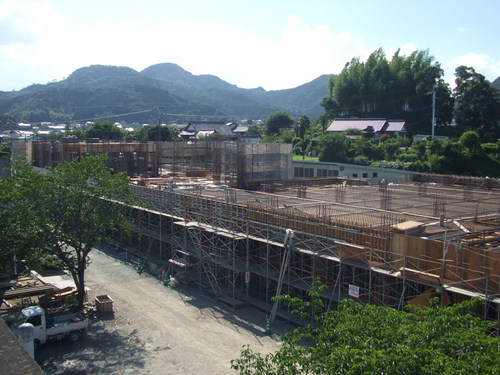 C515310D.jpg