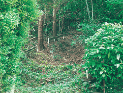 小峠窯跡