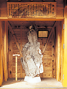 川古のクス幹彫り観音立像1