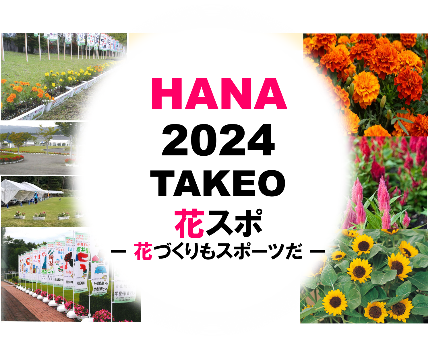 20231127hanaspo01.png