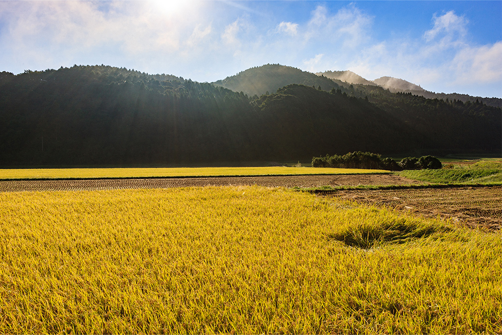 田園風景