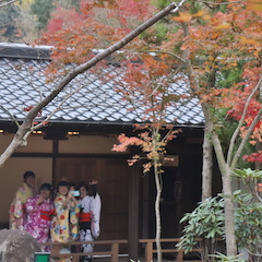 また行きたいと思う魅力がある　高野寺